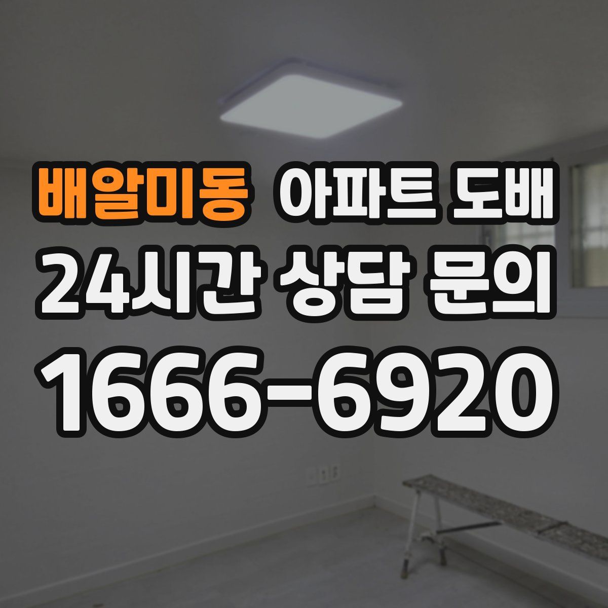 배알미동 아파트 도배
