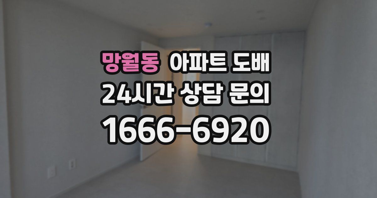 망월동 아파트 도배