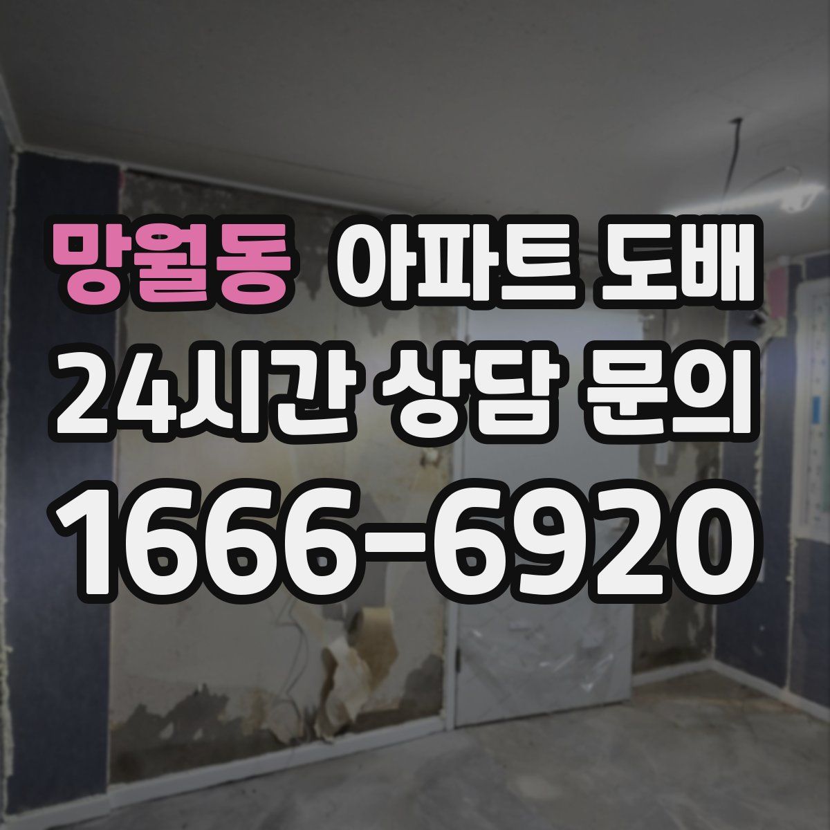 망월동 아파트 도배