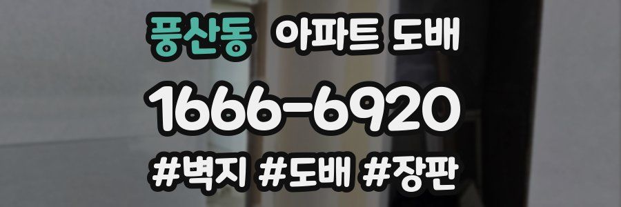 풍산동 아파트 도배
