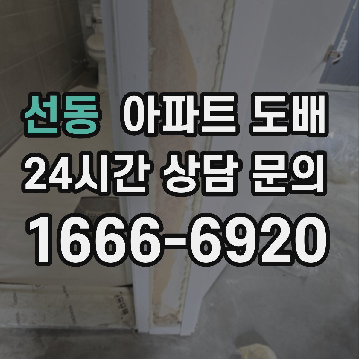 선동 아파트 도배