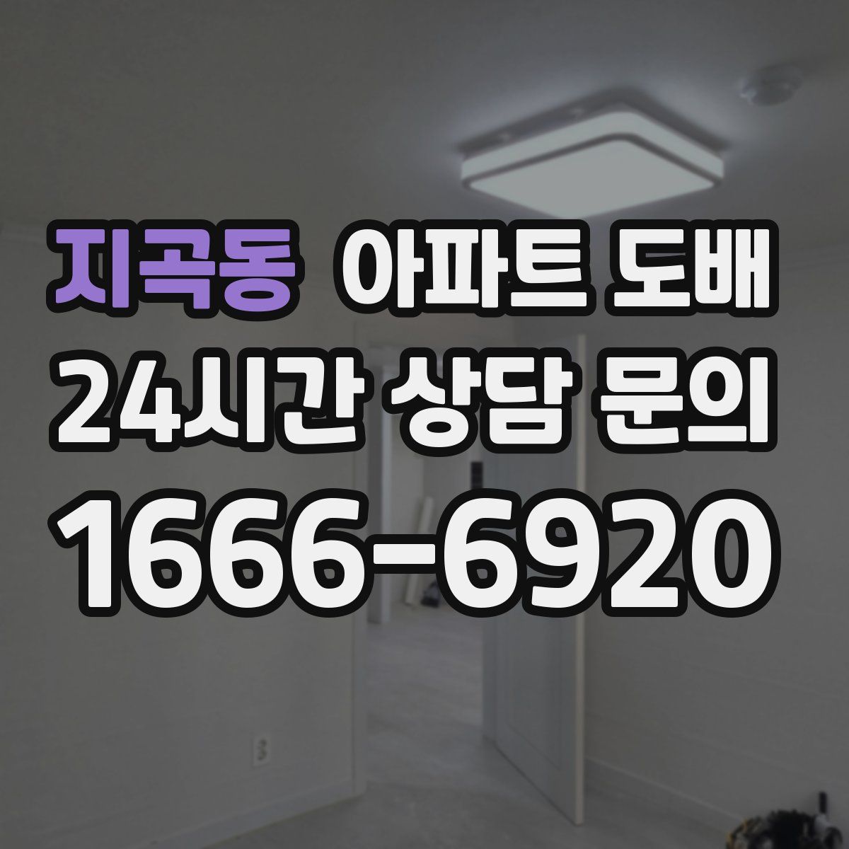 지곡동 아파트 도배