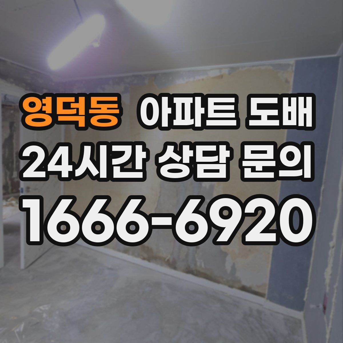 영덕동 아파트 도배