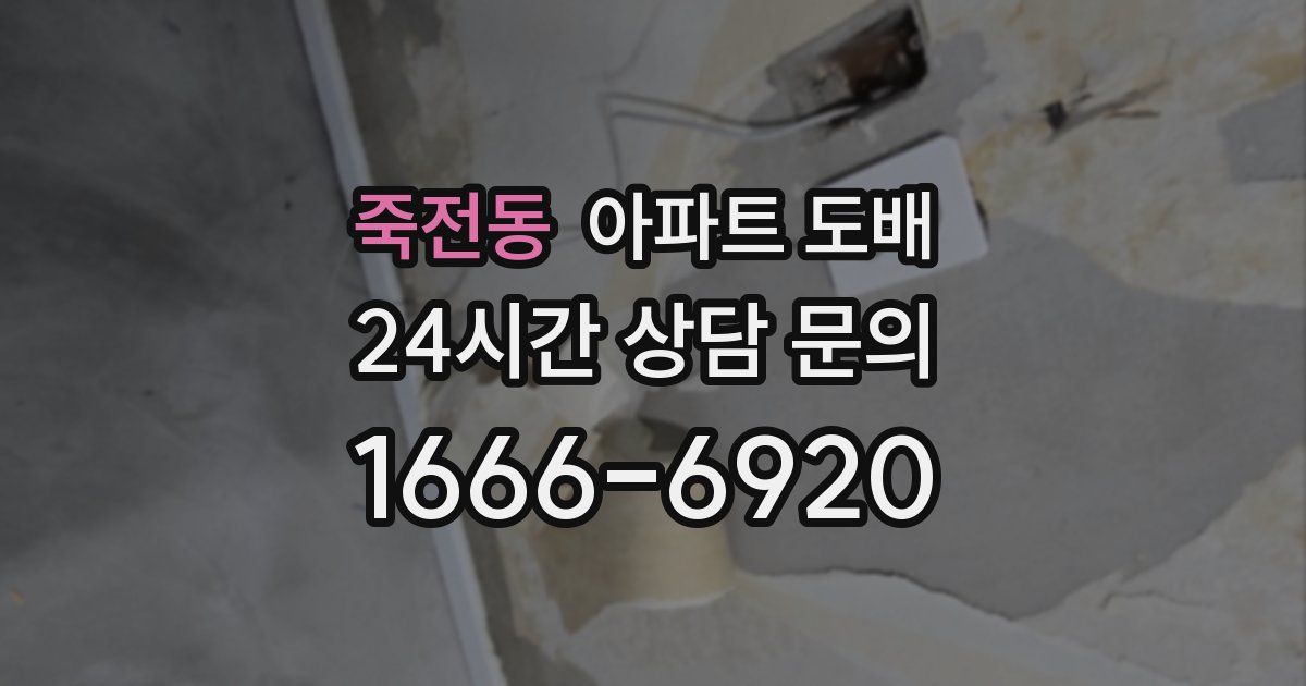 죽전동 아파트 도배