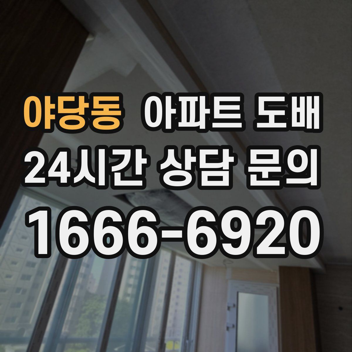 야당동 아파트 도배