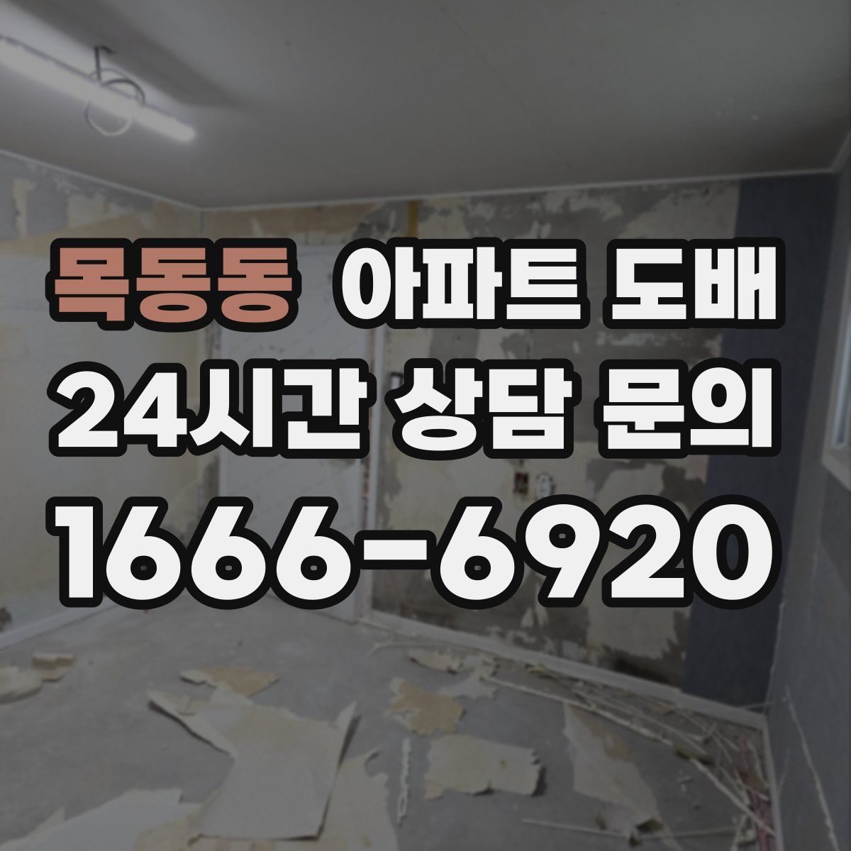 목동동 아파트 도배