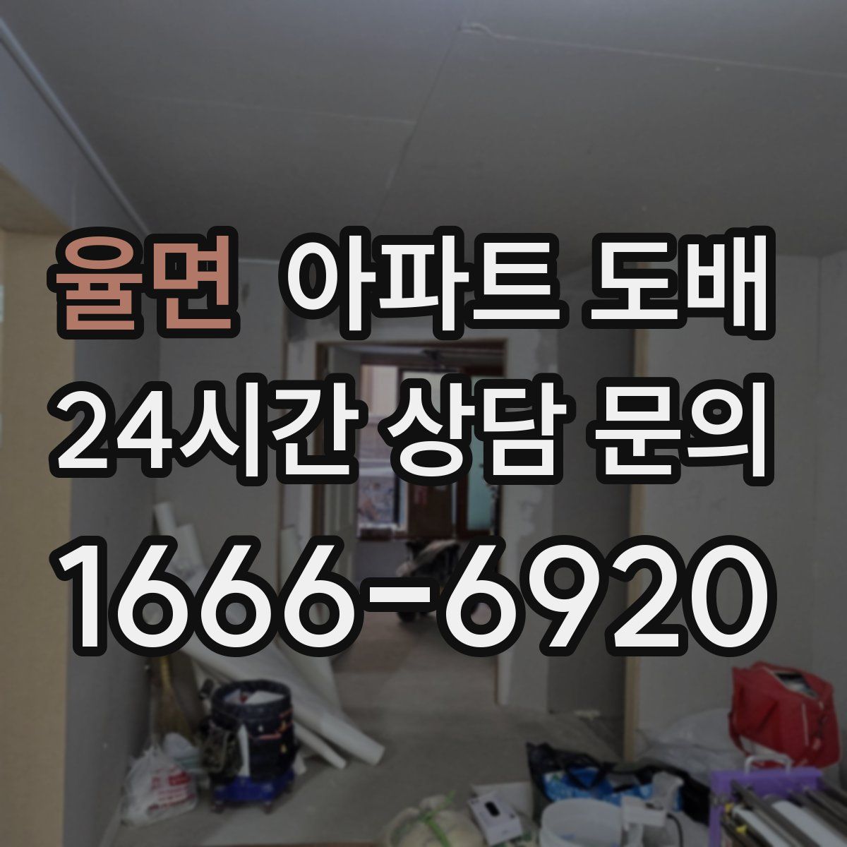 율면 아파트 도배