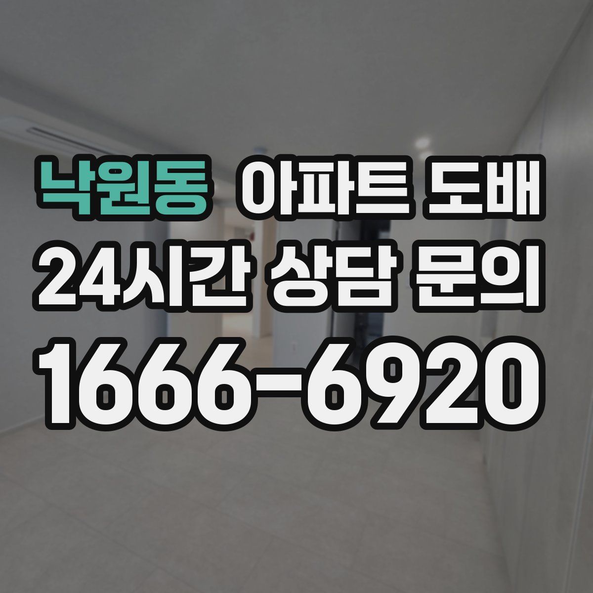 낙원동 아파트 도배