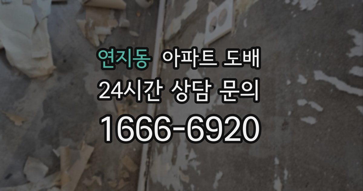 연지동 아파트 도배