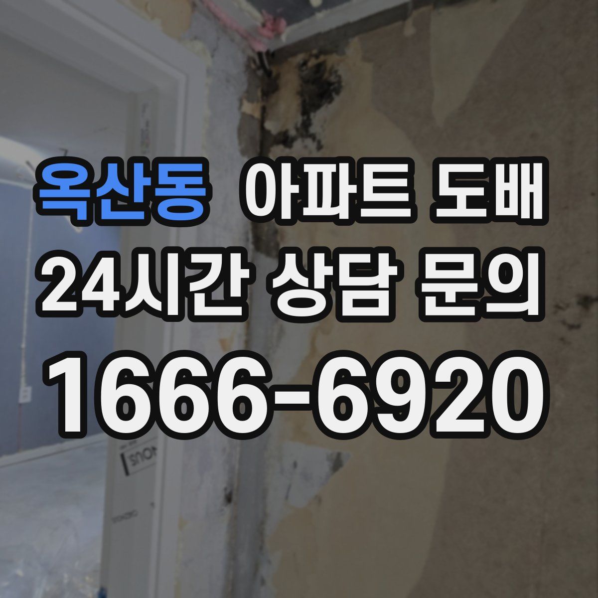 옥산동 아파트 도배