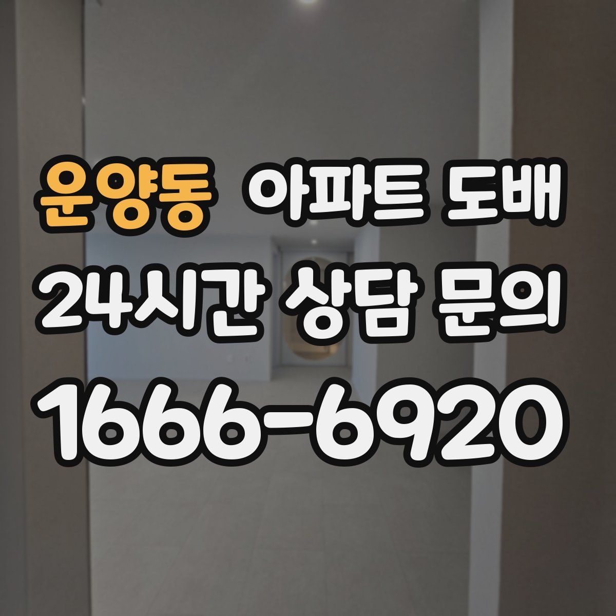 운양동 아파트 도배