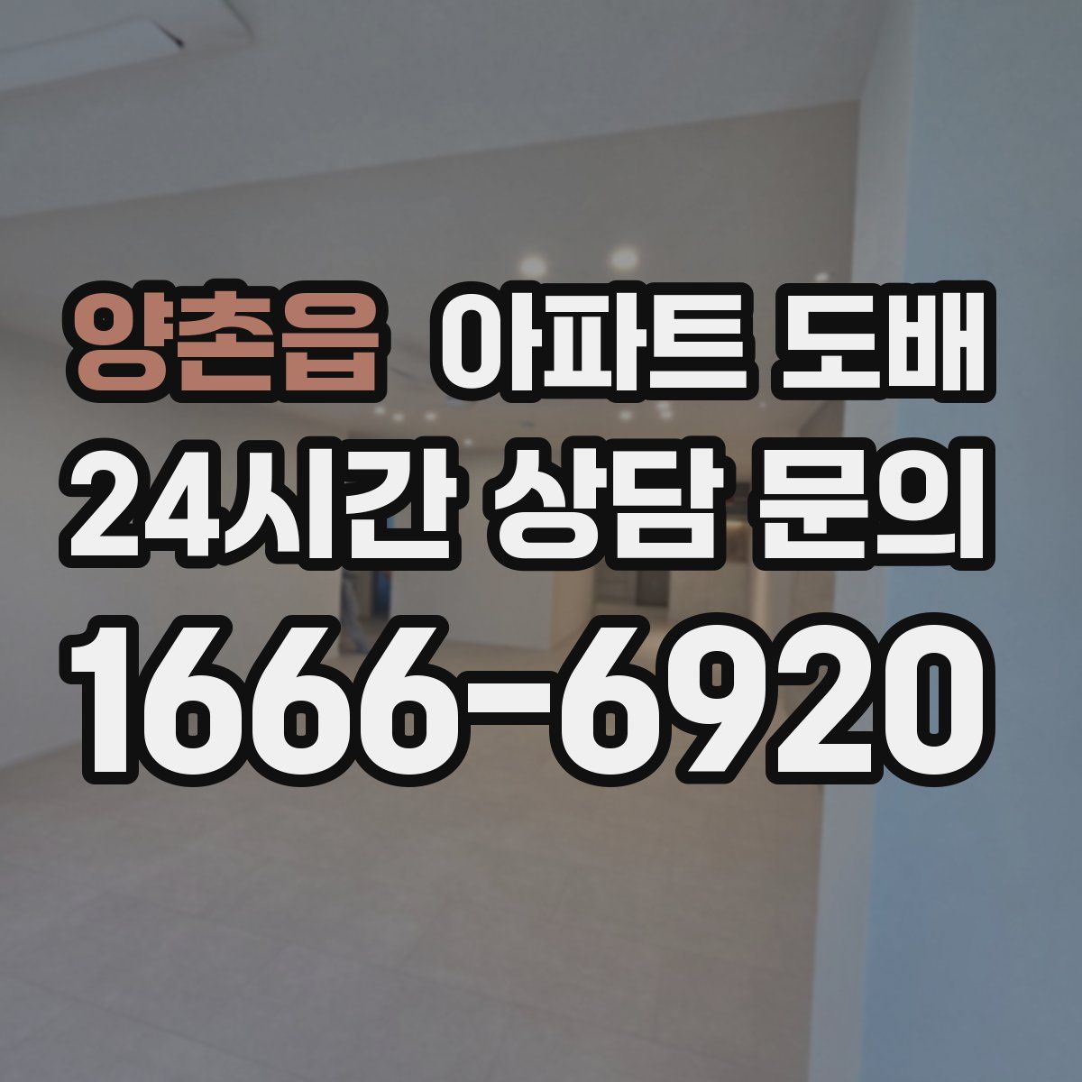 양촌읍 아파트 도배