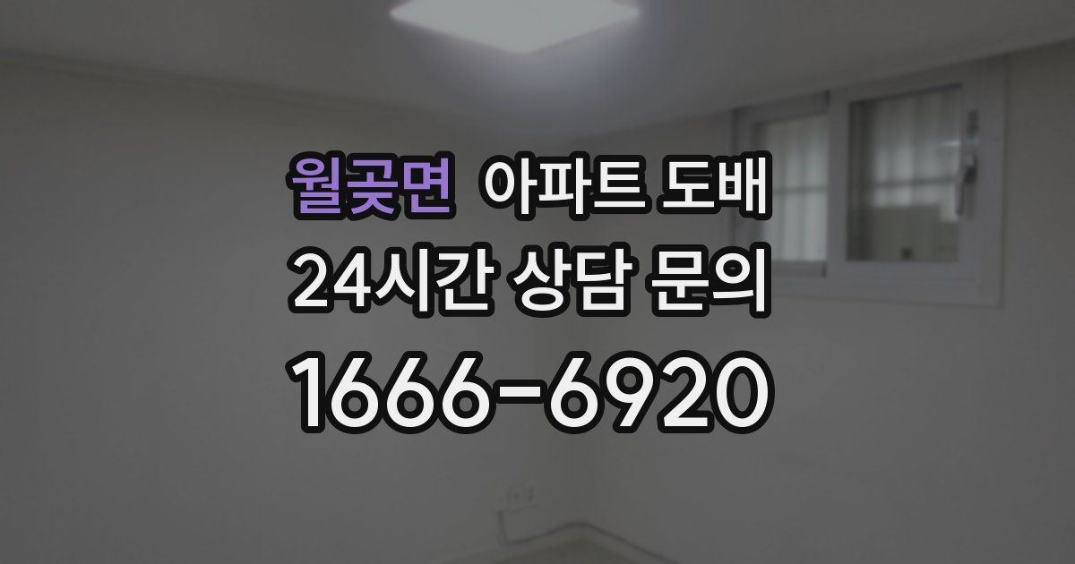 월곶면 아파트 도배