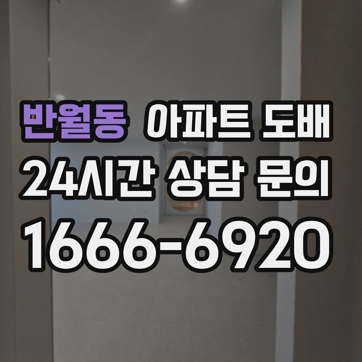 반월동 아파트 도배
