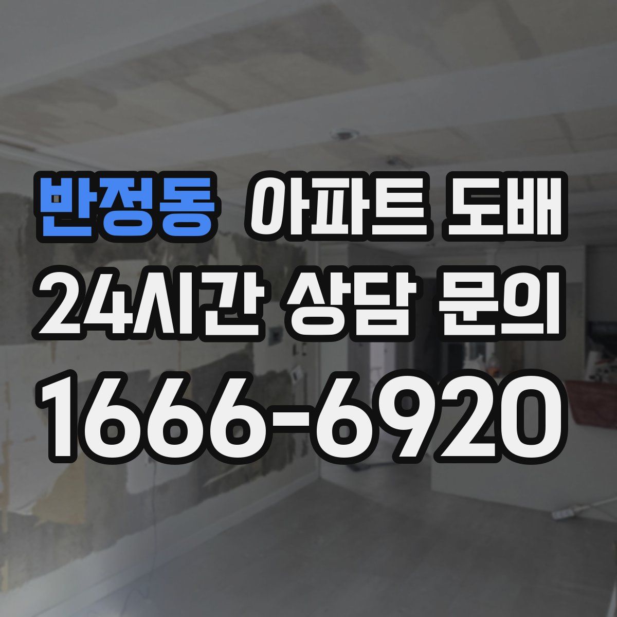 반정동 아파트 도배