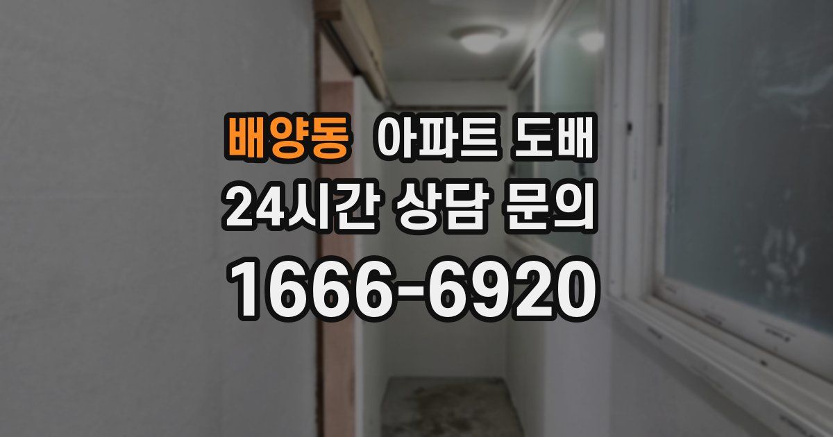배양동 아파트 도배