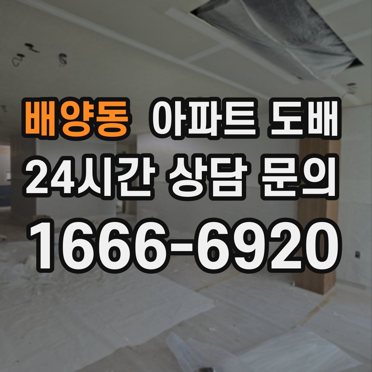 배양동 아파트 도배