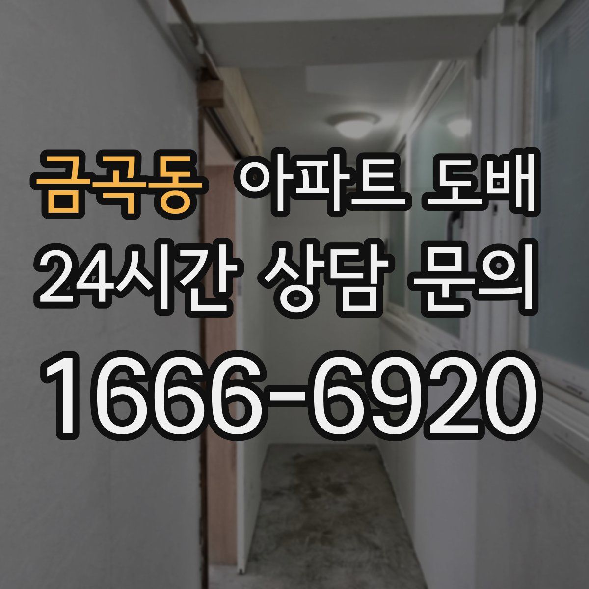 금곡동 아파트 도배