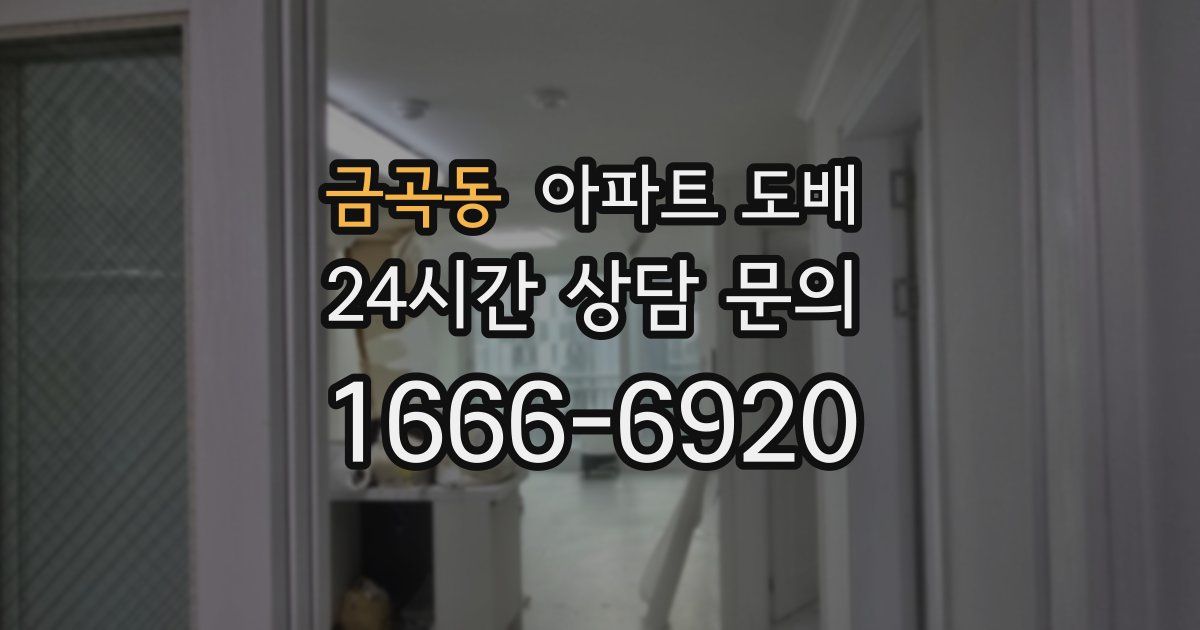 금곡동 아파트 도배