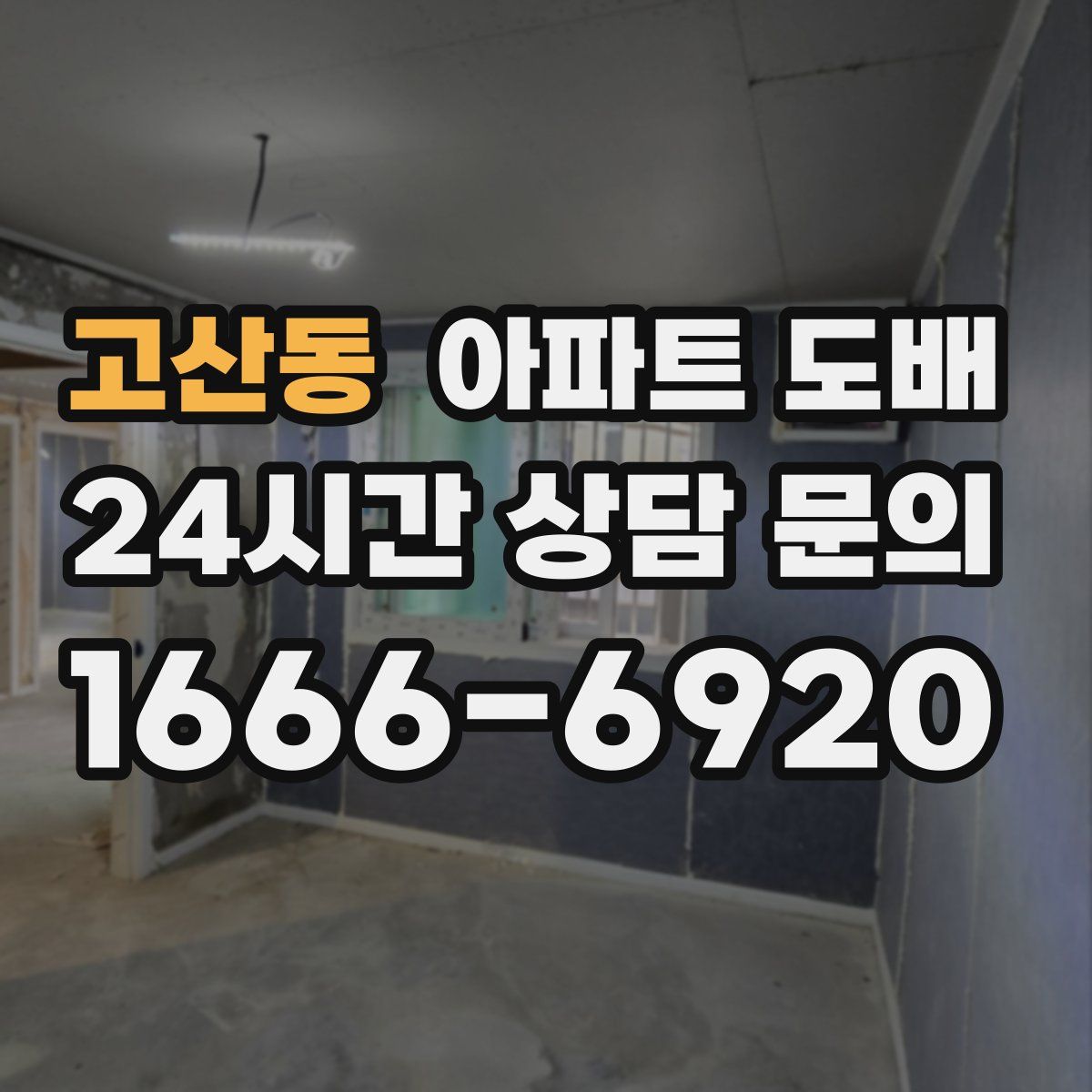 고산동 아파트 도배
