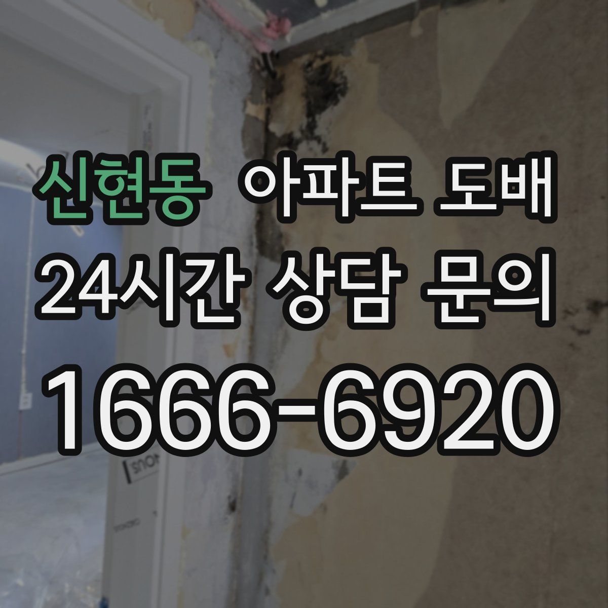 신현동 아파트 도배