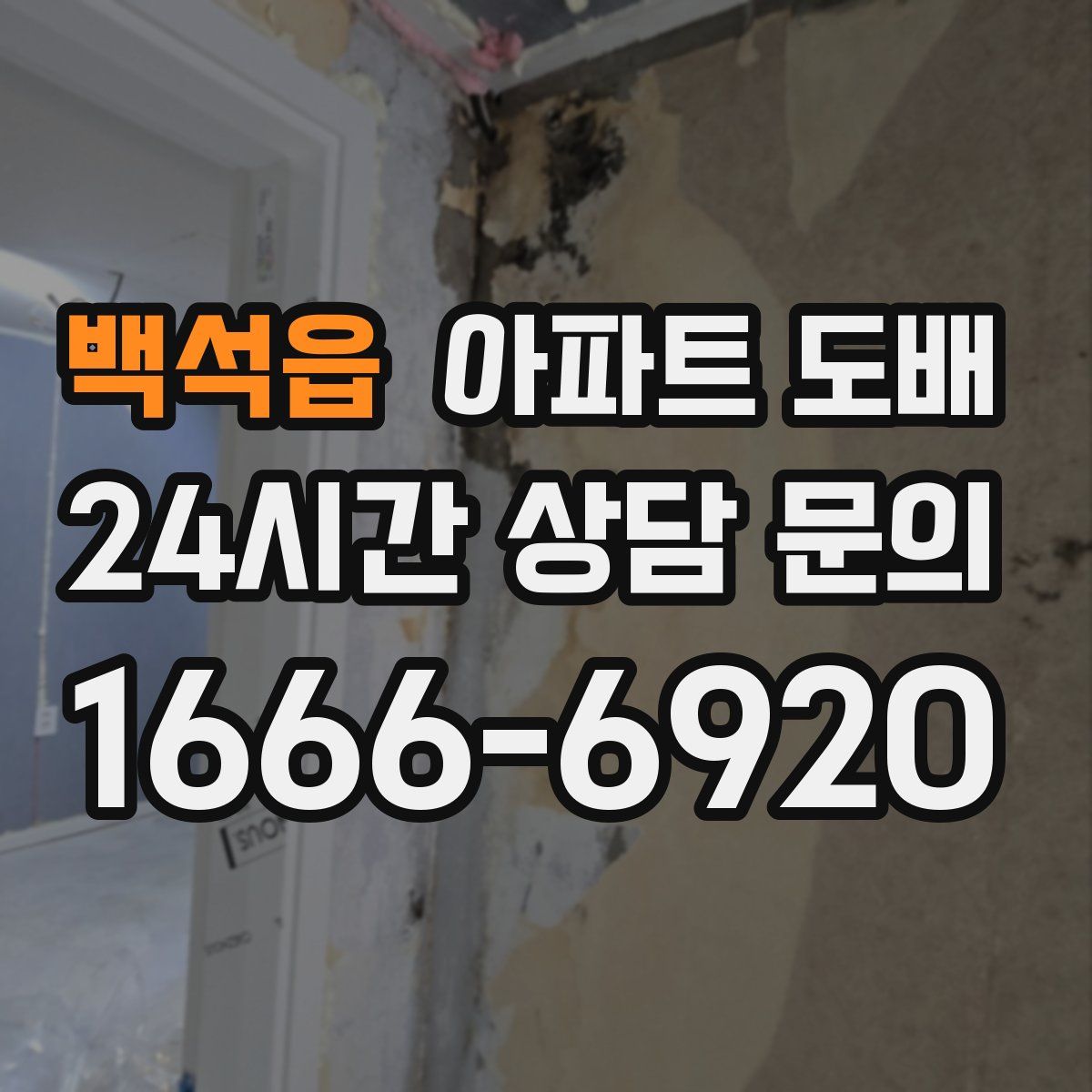 백석읍 아파트 도배