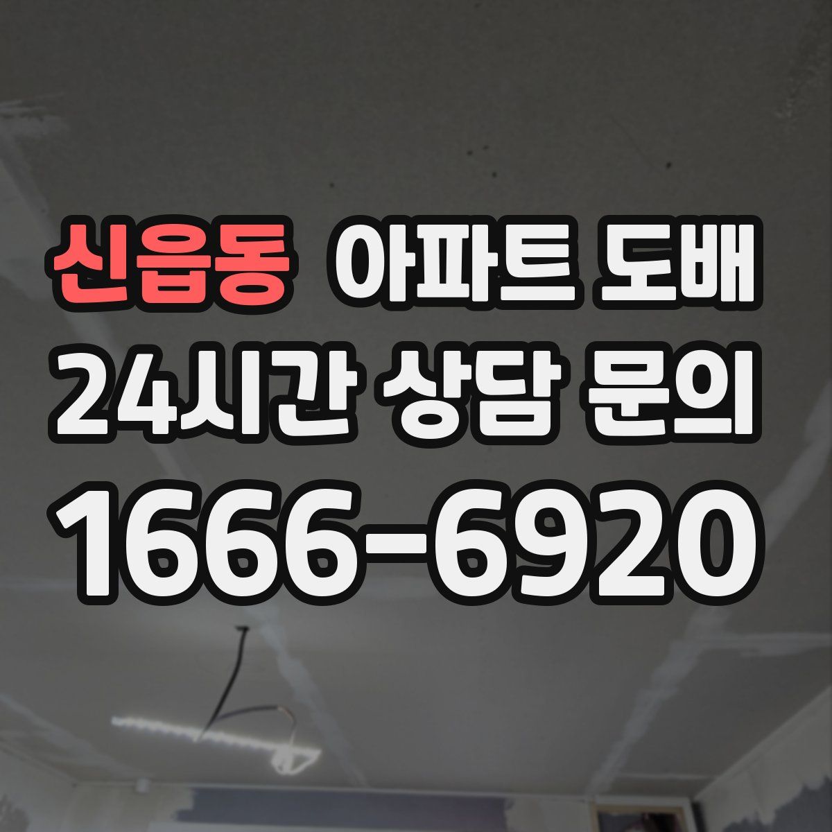 신읍동 아파트 도배