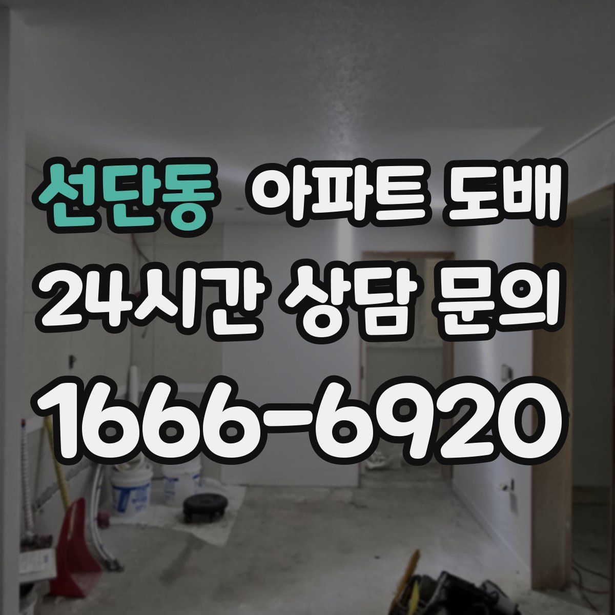 선단동 아파트 도배