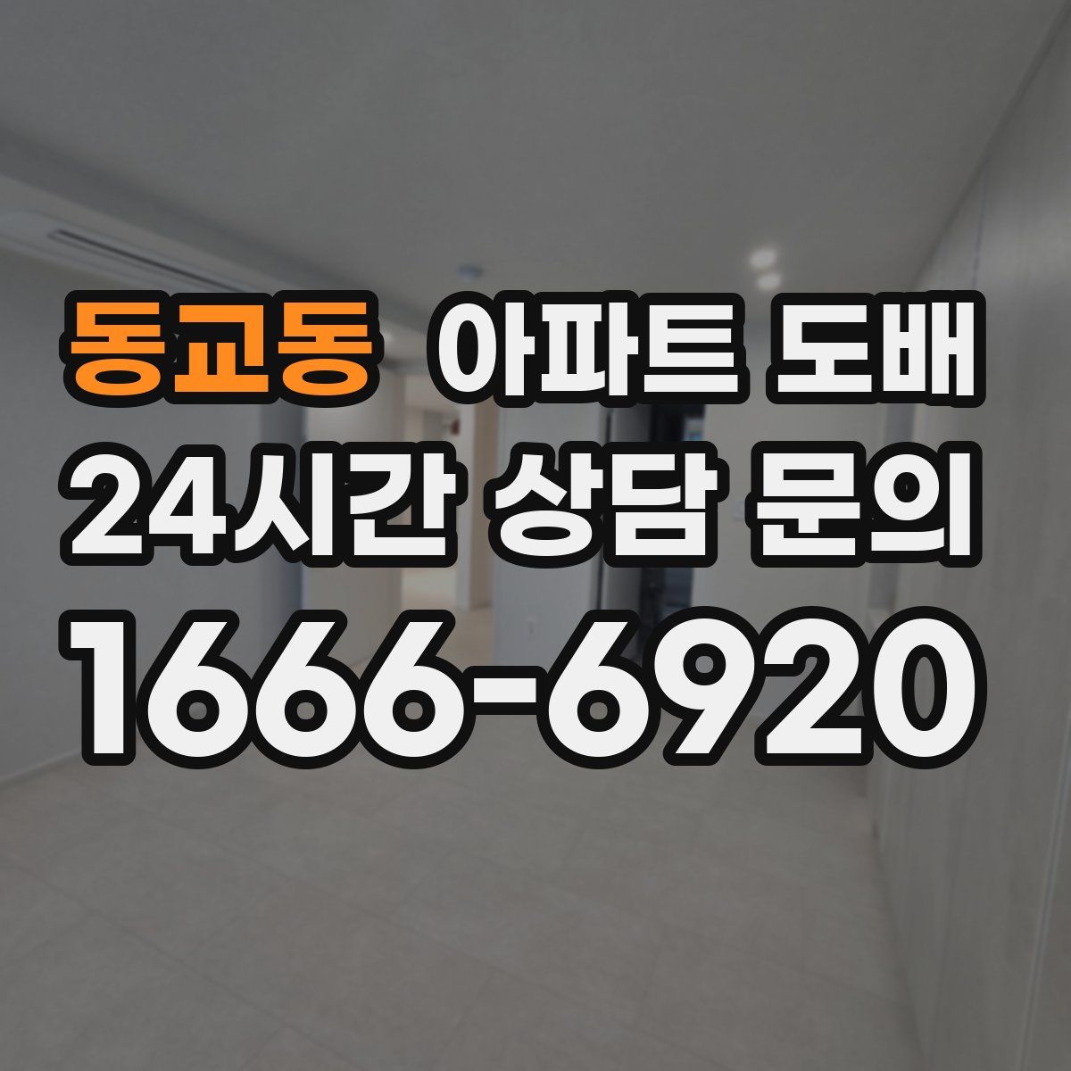 동교동 아파트 도배