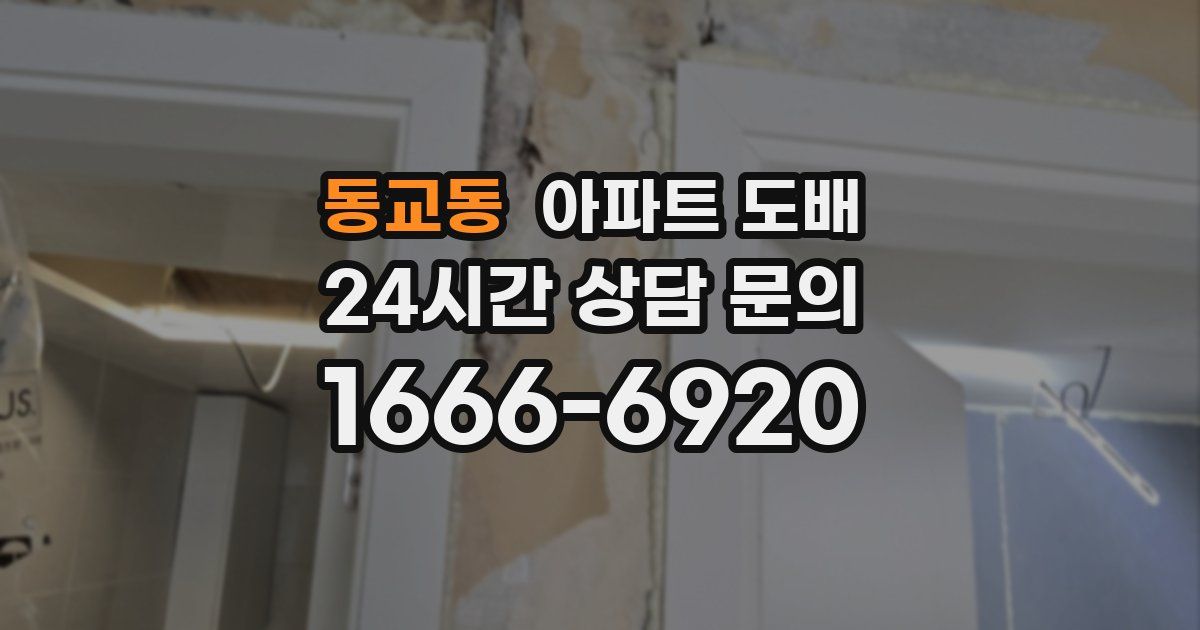 동교동 아파트 도배