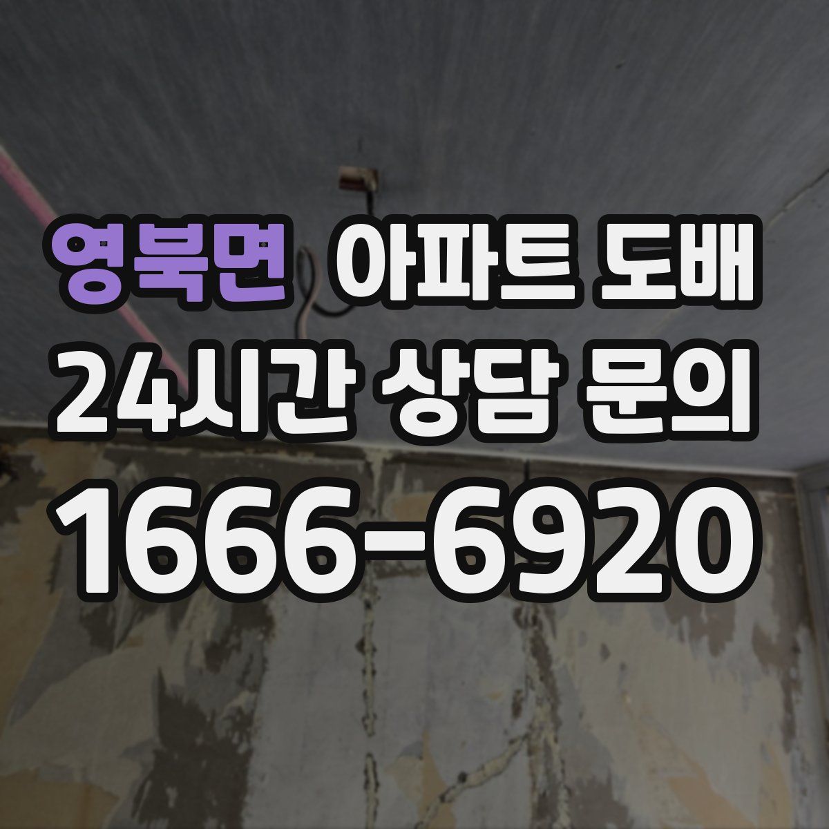 영북면 아파트 도배