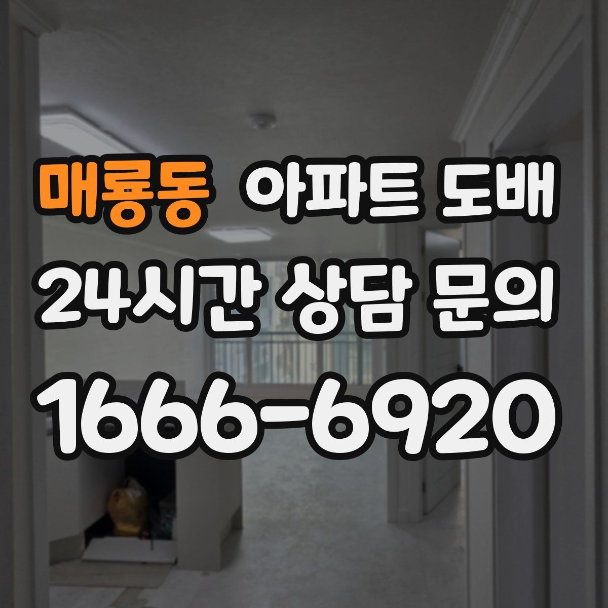 매룡동 아파트 도배