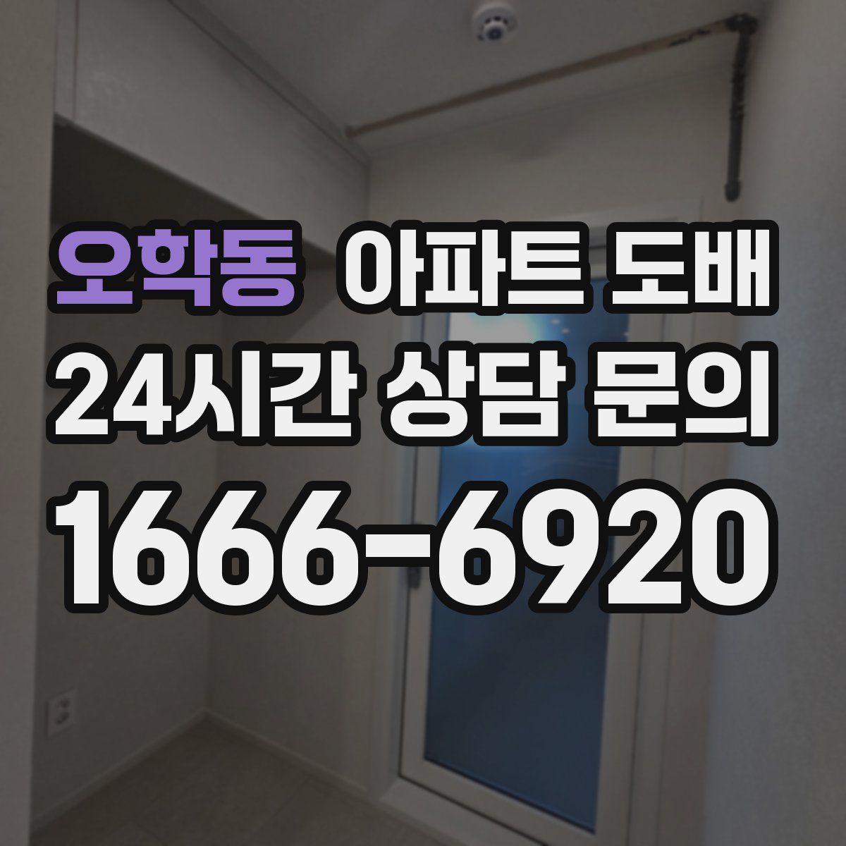 오학동 아파트 도배