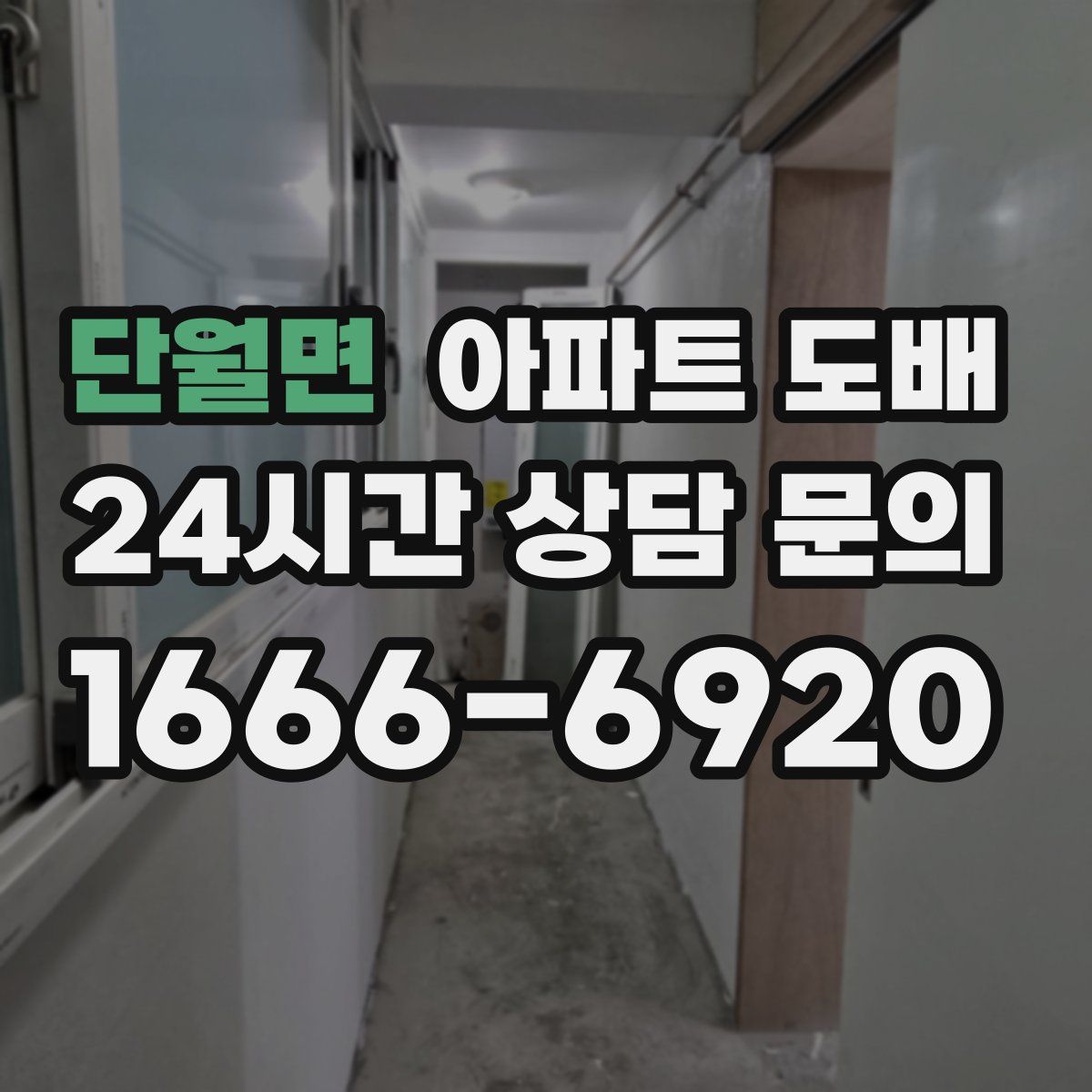 단월면 아파트 도배