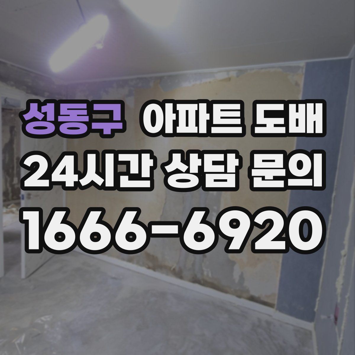 성동구 아파트 도배