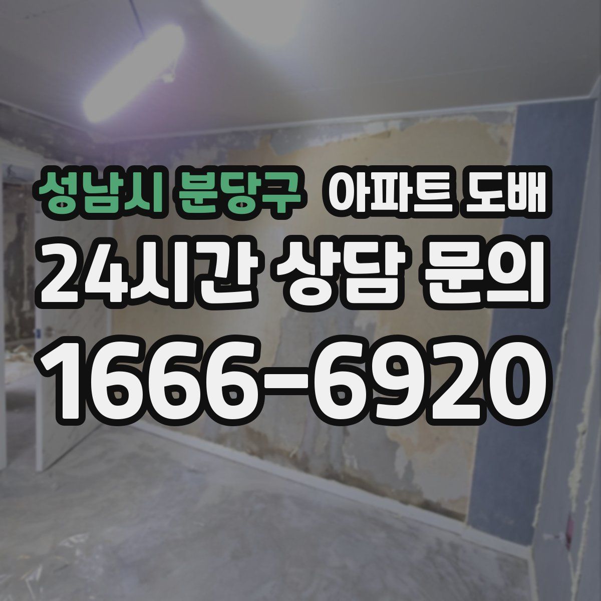 성남시 분당구 아파트 도배