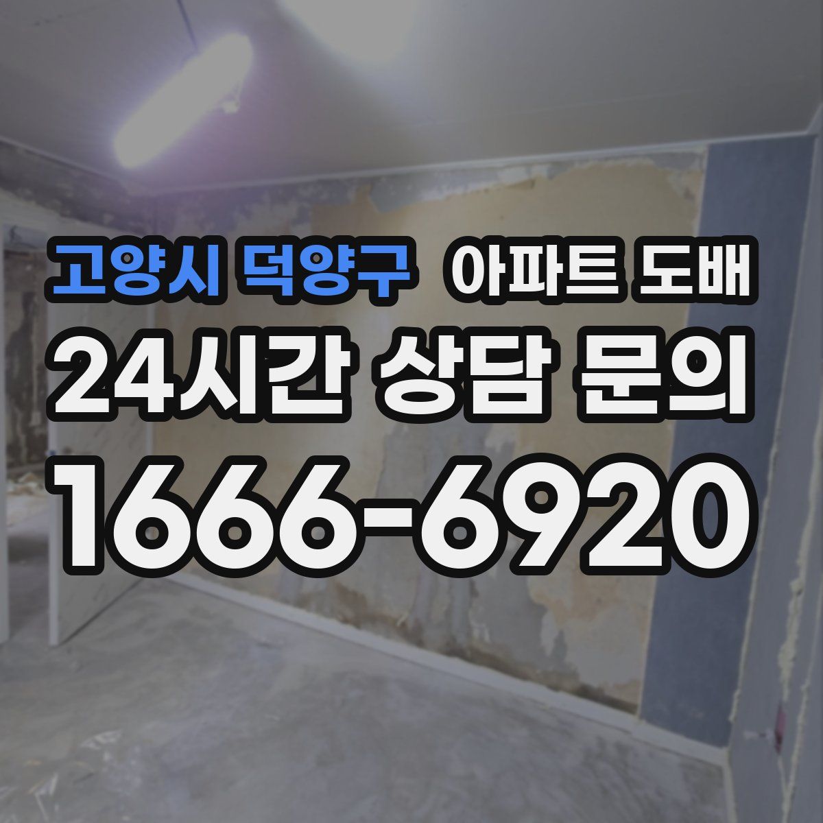 고양시 덕양구 아파트 도배