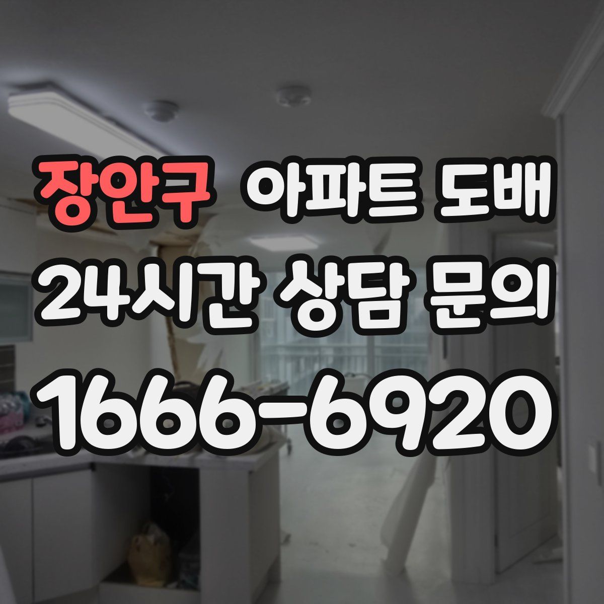 장안구 아파트 도배