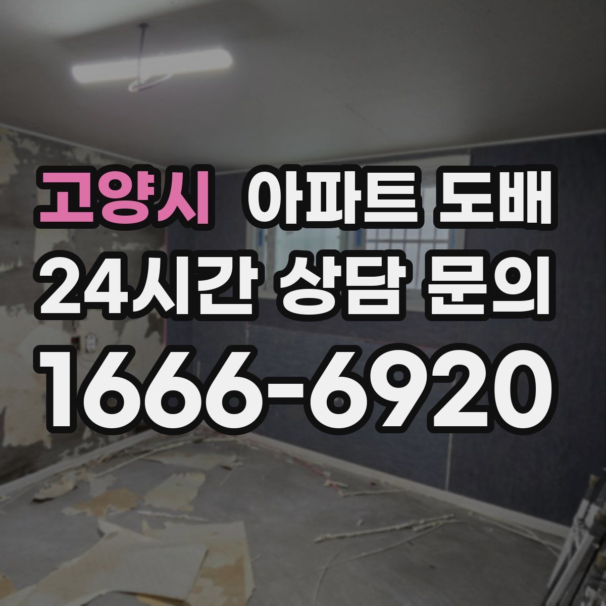 고양시 아파트 도배
