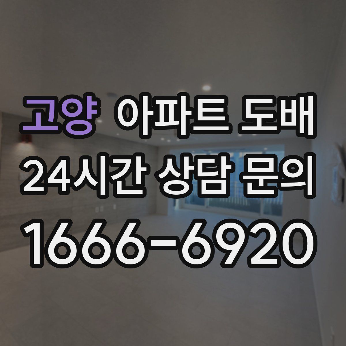 고양 아파트 도배