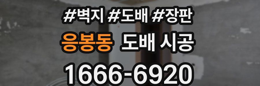 응봉동 도배 시공