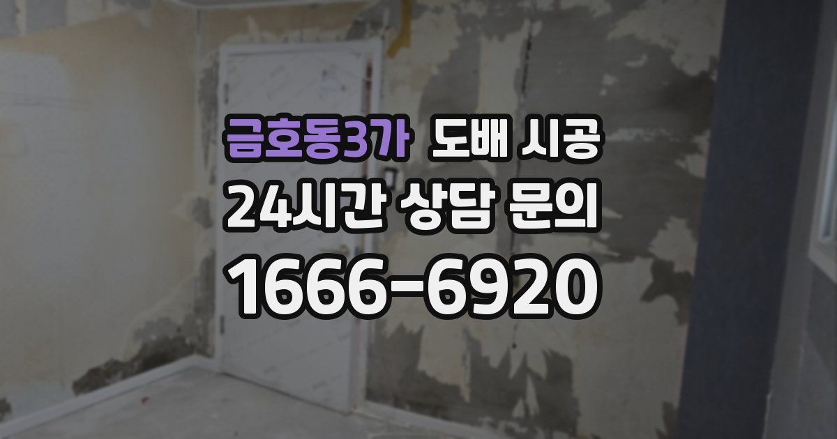 금호동3가 도배 시공
