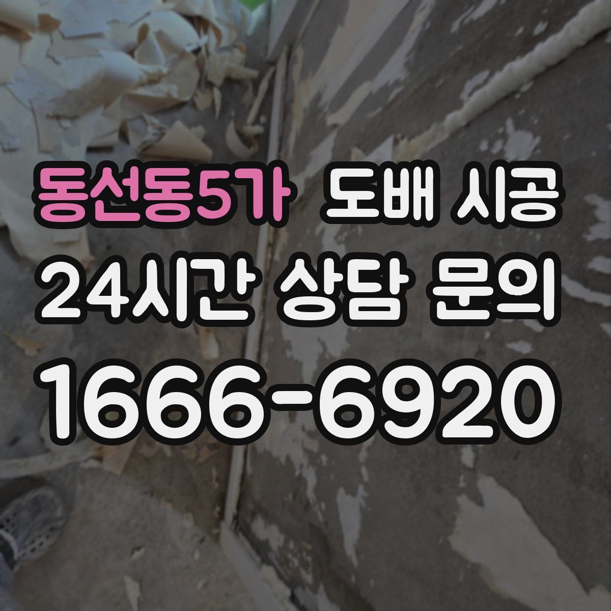 동선동5가 도배 시공