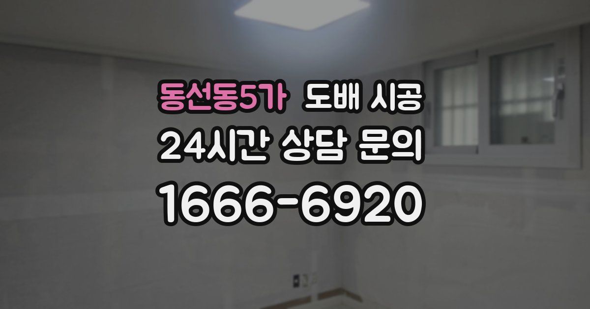 동선동5가 도배 시공