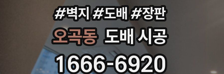 오곡동 도배 시공