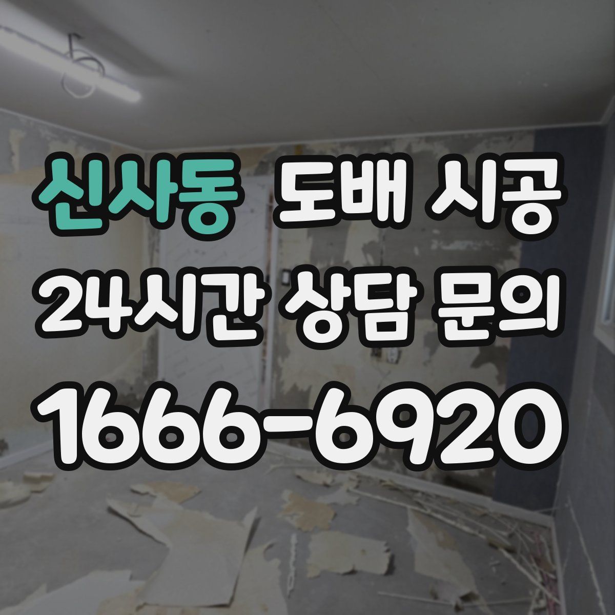 신사동 도배 시공
