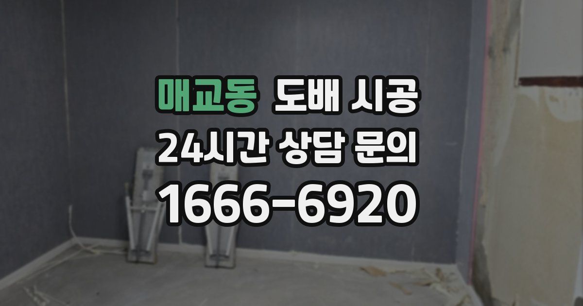 매교동 도배 시공