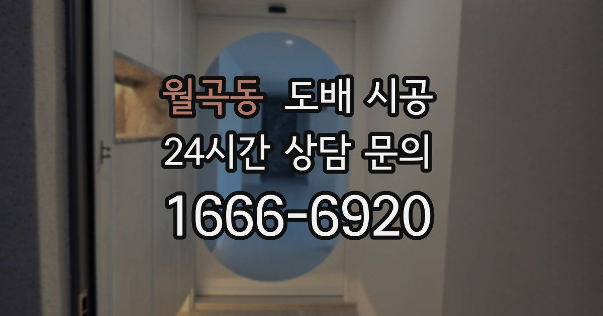 월곡동 도배 시공