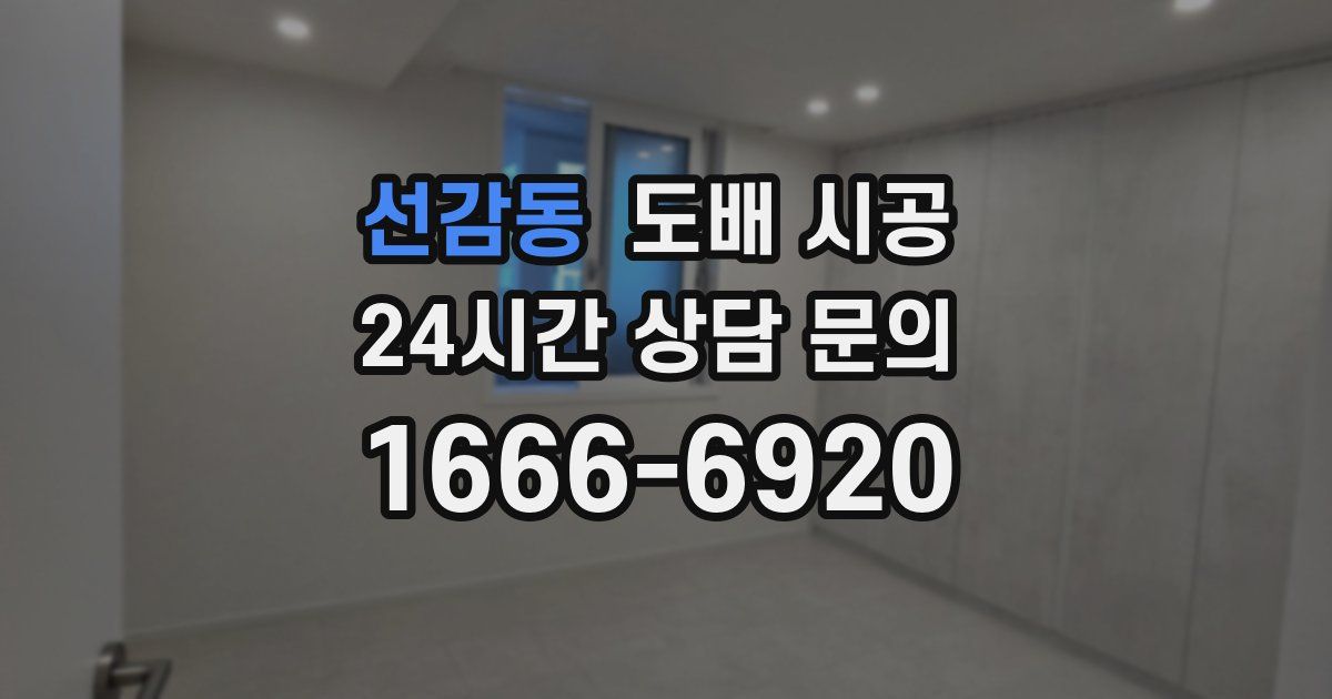 선감동 도배 시공