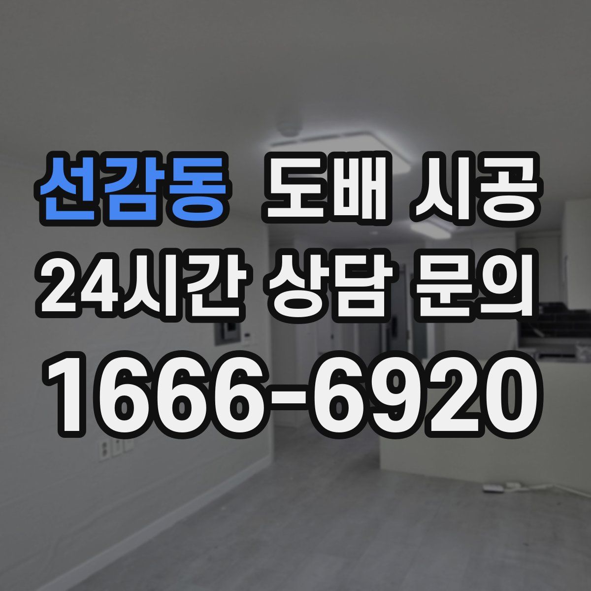 선감동 도배 시공